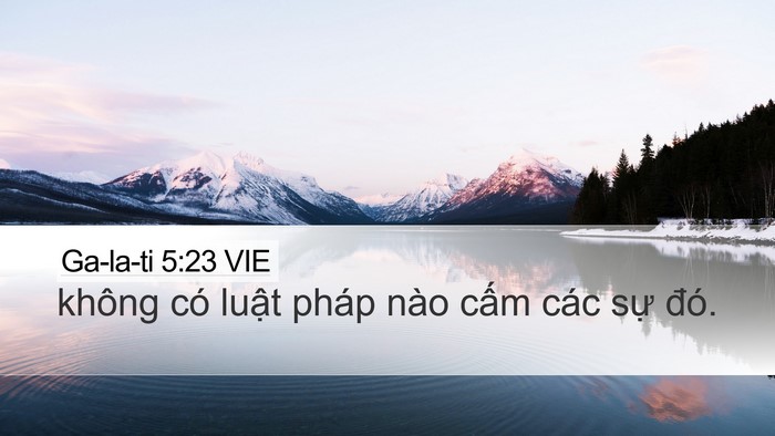 Ga-la-ti 5:23 VIE Bible Verse Image
