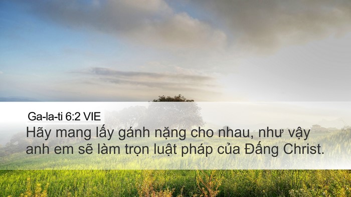 Ga-la-ti 6:2 VIE Bible Verse Image