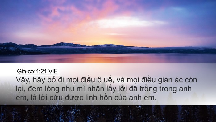 Gia-cơ 1:21 VIE Bible Verse Image