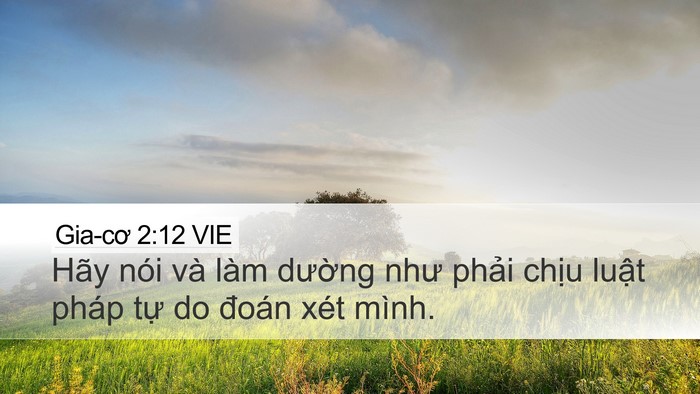 Gia-cơ 2:12 VIE Bible Verse Image