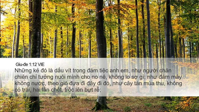 Giu-đe 1:12 VIE Bible Verse Image