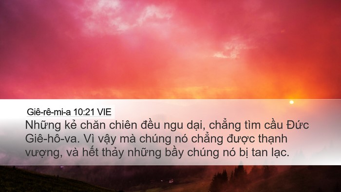 Giê-rê-mi-a 10:21 VIE Bible Verse Image