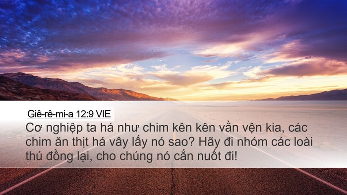 Giê-rê-mi-a 12:9 VIE Bible Verse Image
