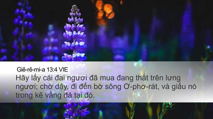 Giê-rê-mi-a 13:4 VIE Desktop Wallpaper - Hãy lấy cái đai ngươi đã mua đang - Desktop Bible Verse Wallpaper