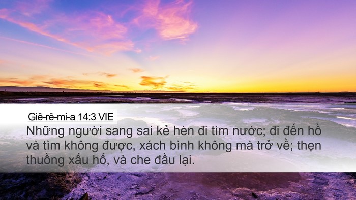 Giê-rê-mi-a 14:3 VIE Bible Verse Image