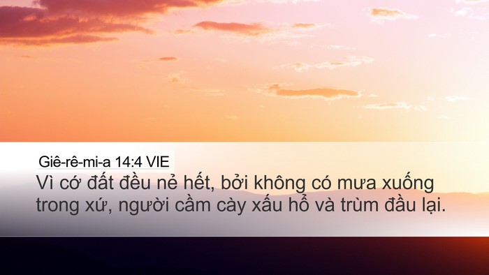 Giê-rê-mi-a 14:4 VIE Bible Verse Image
