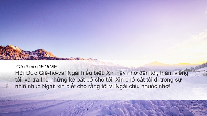 Giê-rê-mi-a 15:15 VIE Bible Verse Image