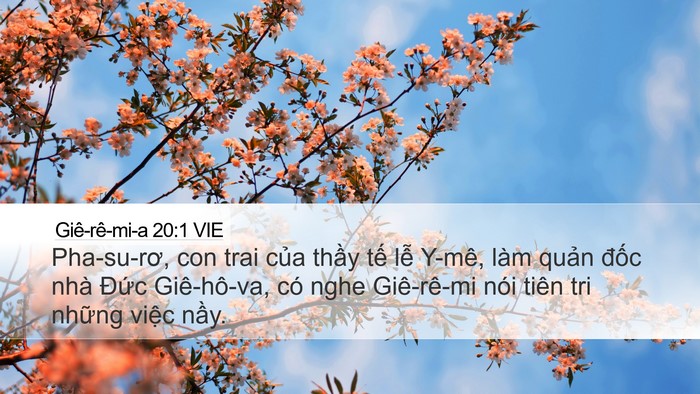 Giê-rê-mi-a 20:1 VIE Desktop Wallpaper - Pha-su-rơ, con trai của thầy tế lễ - Desktop Bible Verse Wallpaper