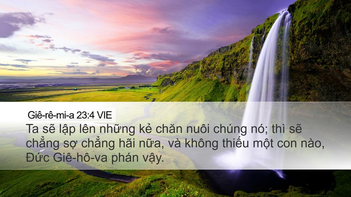 Giê-rê-mi-a 23:4 VIE Bible Verse Image