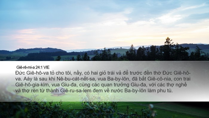 Giê-rê-mi-a 24:1 VIE Bible Verse Image