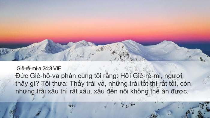 Giê-rê-mi-a 24:3 VIE Bible Verse Image