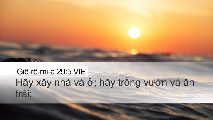 Giê-rê-mi-a 29:5 VIE Bible Verse Image