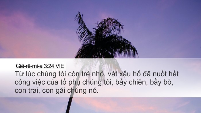 Giê-rê-mi-a 3:24 VIE Bible Verse Image