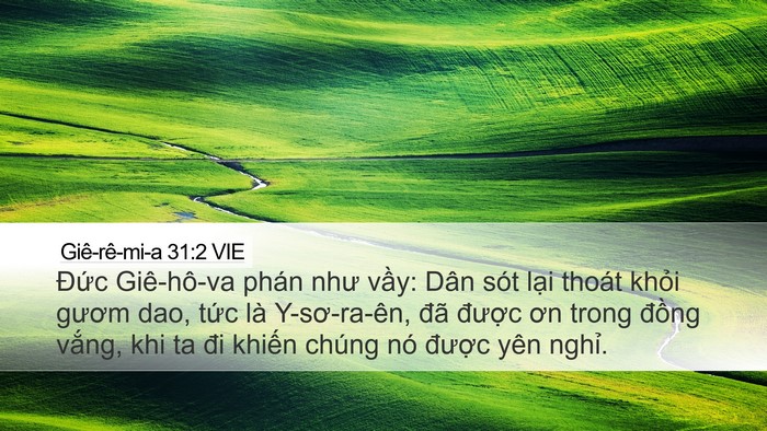Giê-rê-mi-a 31:2 VIE Bible Verse Image