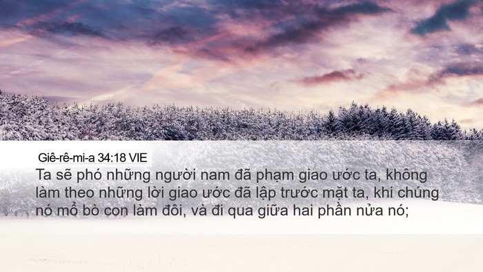Giê-rê-mi-a 34:18 VIE Bible Verse Image