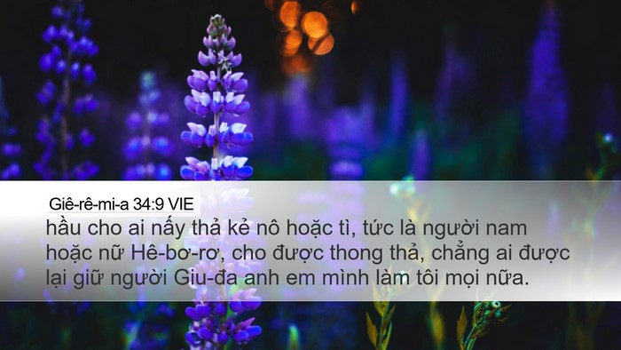 Giê-rê-mi-a 34:9 VIE Desktop Wallpaper - hầu cho ai nấy thả kẻ nô hoặc tì, - Desktop Bible Verse Wallpaper