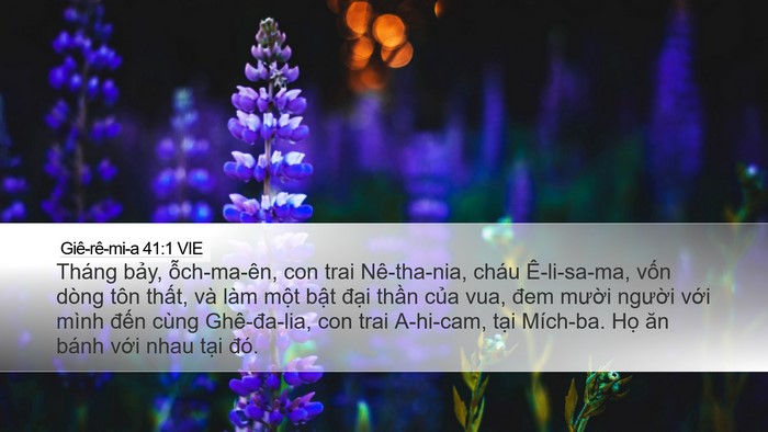 Giê-rê-mi-a 41:1 VIE Bible Verse Image