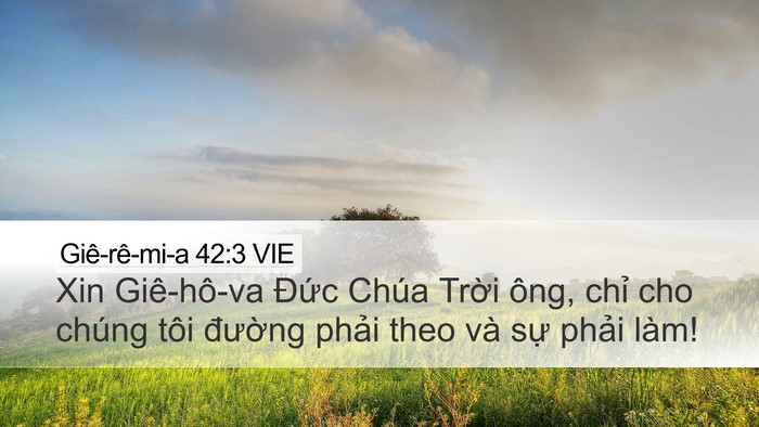 Giê-rê-mi-a 42:3 VIE Desktop Wallpaper - Xin Giê-hô-va Đức Chúa Trời ông, chỉ - Desktop Bible Verse Wallpaper