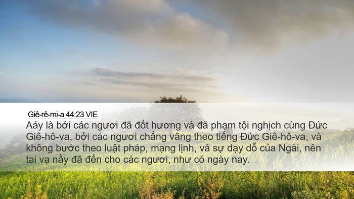 Giê-rê-mi-a 44:23 VIE Bible Verse Image