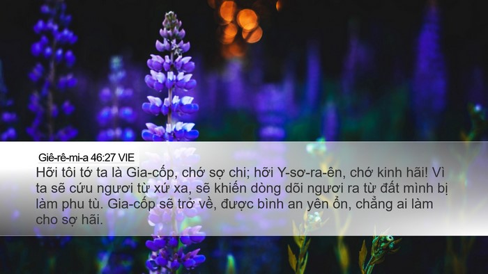 Giê-rê-mi-a 46:27 VIE Bible Verse Image