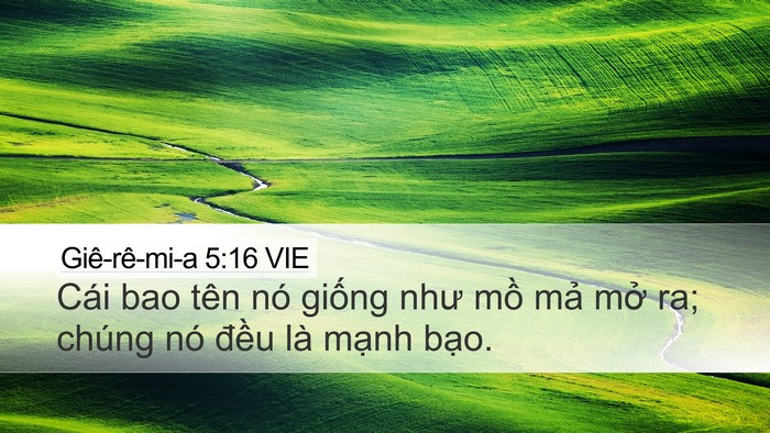 Giê-rê-mi-a 5:16 VIE Bible Verse Image