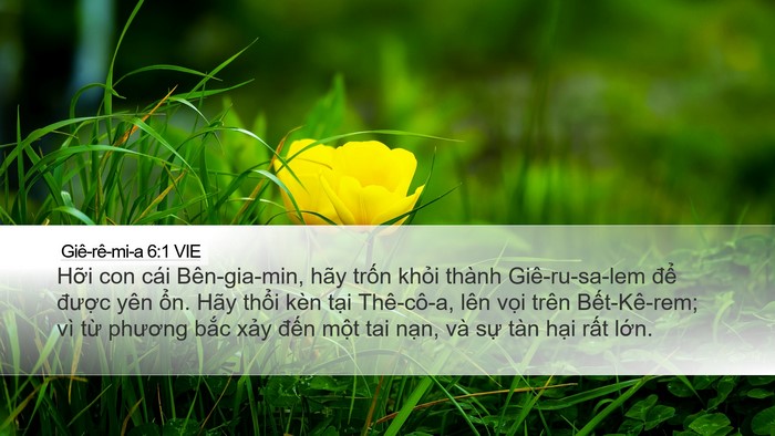 Giê-rê-mi-a 6:1 VIE Bible Verse Image