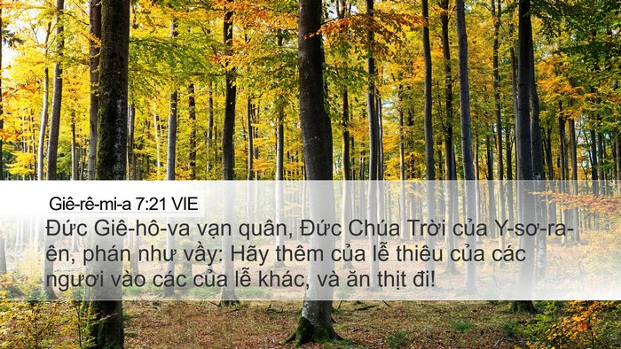 Giê-rê-mi-a 7:21 VIE Bible Verse Image