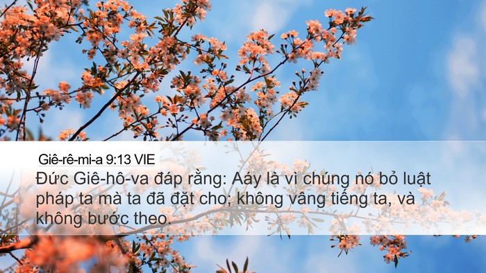 Giê-rê-mi-a 9:13 VIE Bible Verse Image