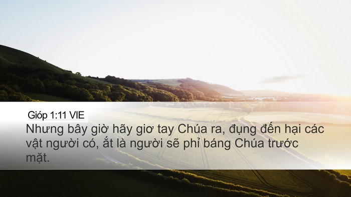 Gióp 1:11 VIE Bible Verse Image