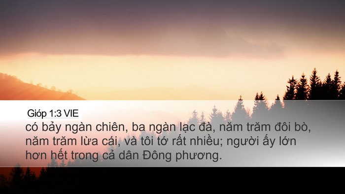 Gióp 1:3 VIE Bible Verse Image