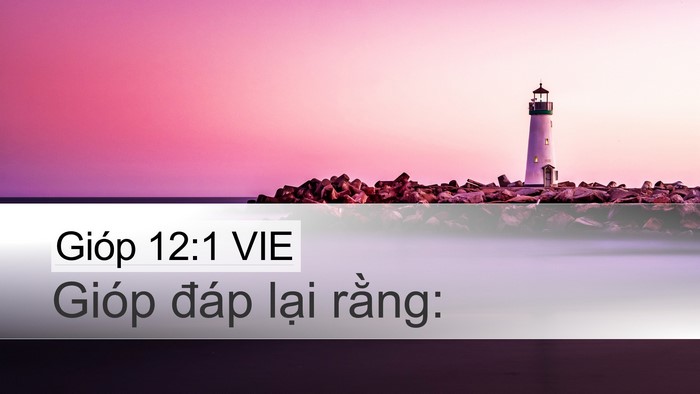 Gióp 12:1 VIE Desktop Wallpaper - Gióp đáp lại - Desktop Bible Verse Wallpaper
