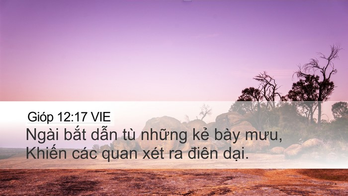 Gióp 12:17 VIE Bible Verse Image