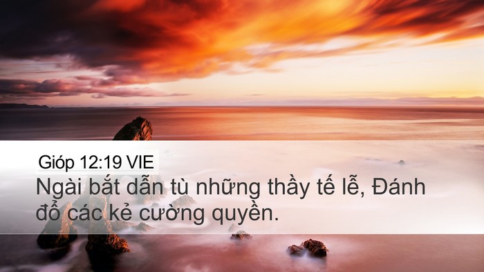 Gióp 12:19 VIE Bible Verse Image