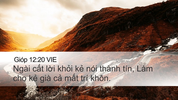 Gióp 12:20 VIE Bible Verse Image