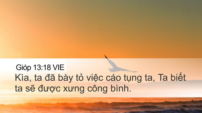 Gióp 13:18 VIE Bible Verse Image