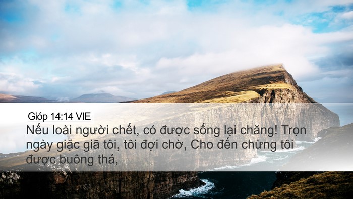 Gióp 14:14 VIE Bible Verse Image
