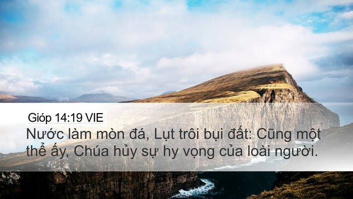 Gióp 14:19 VIE Bible Verse Image