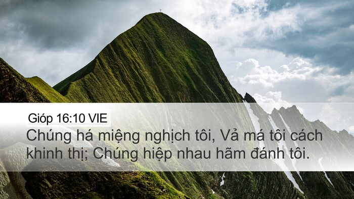 Gióp 16:10 VIE Bible Verse Image