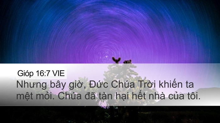 Gióp 16:7 VIE Bible Verse Image