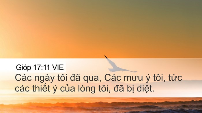 Gióp 17:11 VIE Bible Verse Image