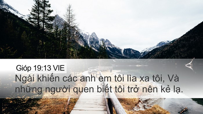 Gióp 19:13 VIE Bible Verse Image