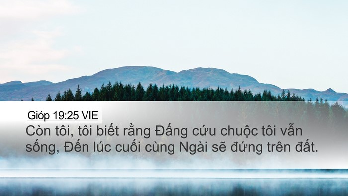 Gióp 19:25 VIE Bible Verse Image