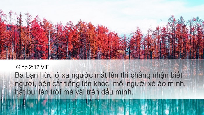 Gióp 2:12 VIE Bible Verse Image
