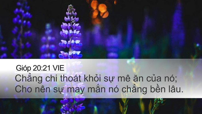 Gióp 20:21 VIE Desktop Wallpaper - Chẳng chi thoát khỏi sự mê ăn của nó; - Desktop Bible Verse Wallpaper