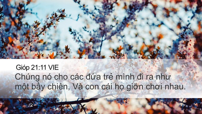 Gióp 21:11 VIE Bible Verse Image