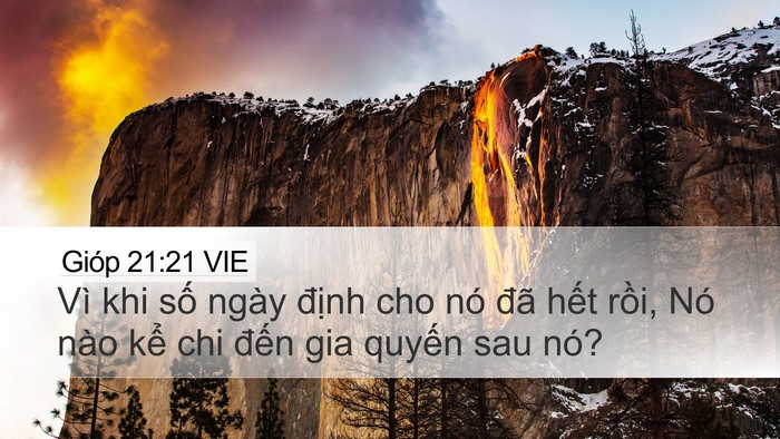 Gióp 21:21 VIE Bible Verse Image