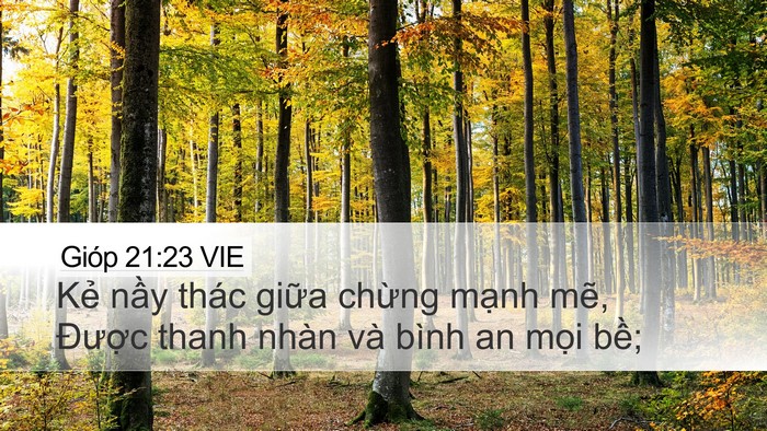 Gióp 21:23 VIE Bible Verse Image