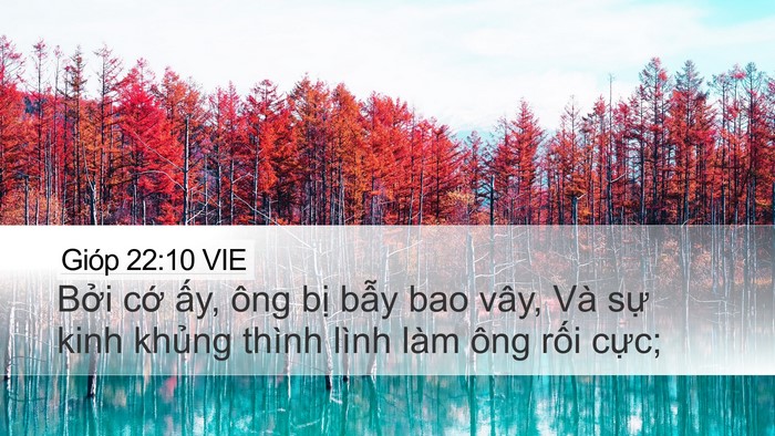 Gióp 22:10 VIE Bible Verse Image