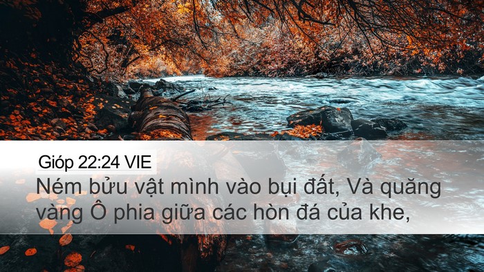 Gióp 22:24 VIE Bible Verse Image