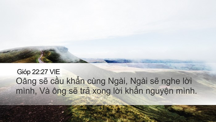 Gióp 22:27 VIE Bible Verse Image